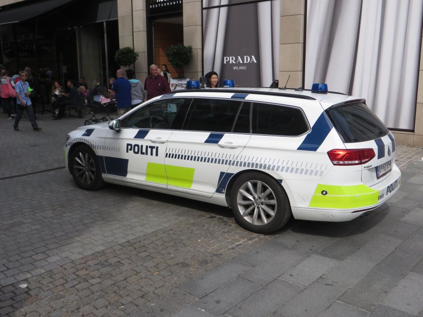 Полиция Дании