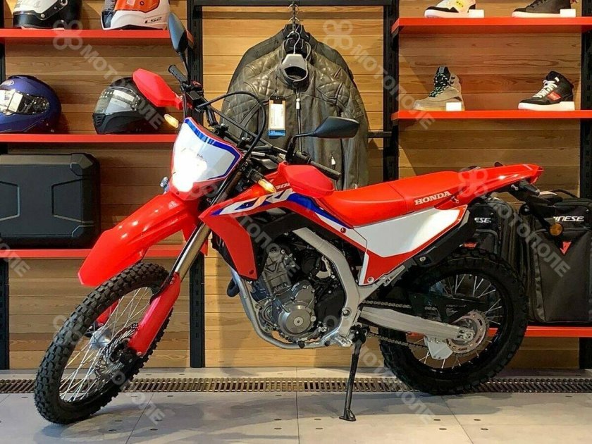 Honda CRF 300 Rally