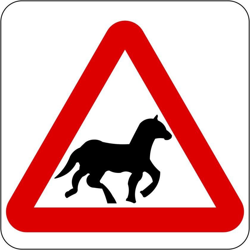 Дорожный знак животные