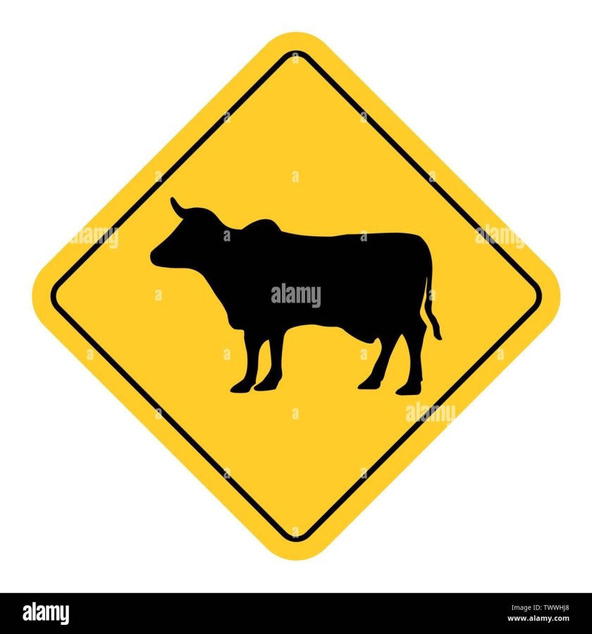 Дорожный знак корова