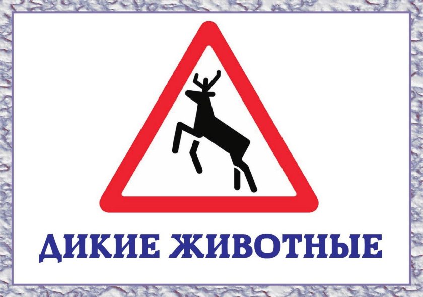 Знак Дикие животные