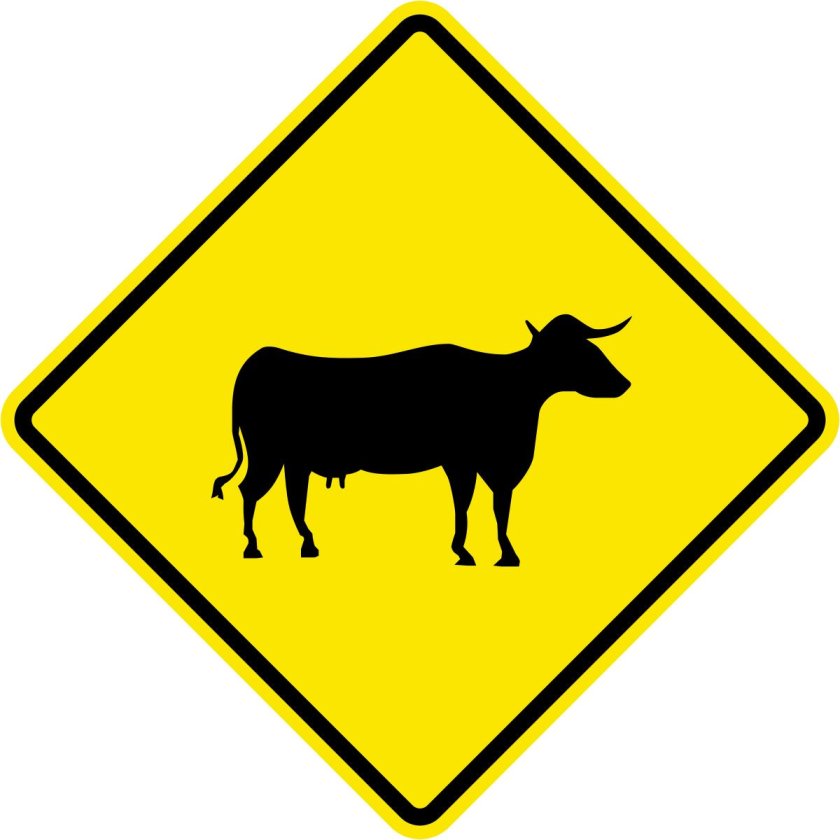 Осторожно животные дорожный знак