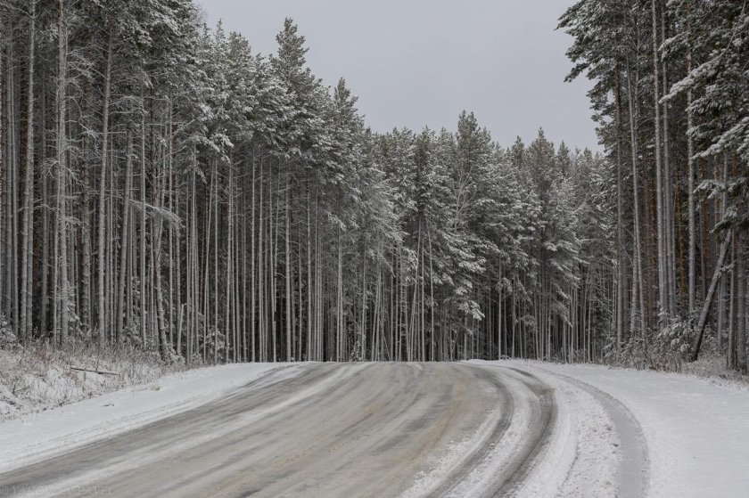 Заснеженная дорога