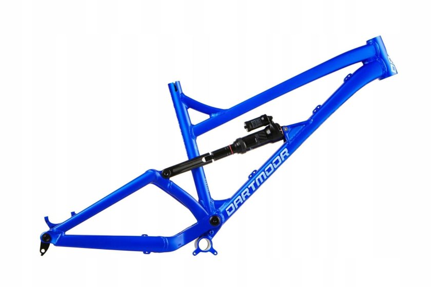 Dartmoor Blackbird 29