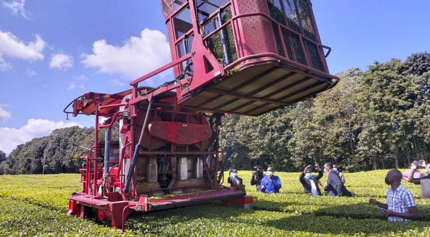 Машина для сбора чая