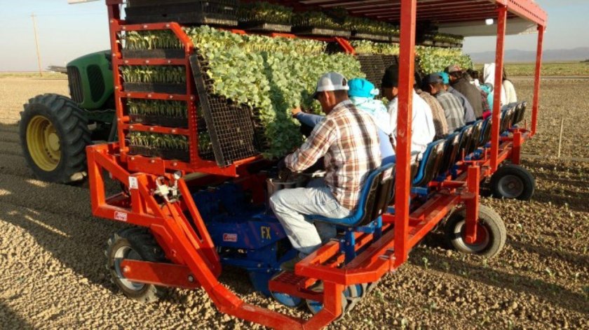 Рассадопосадочная машина Ferrari