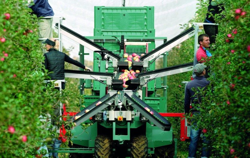 Машина для сбора яблок