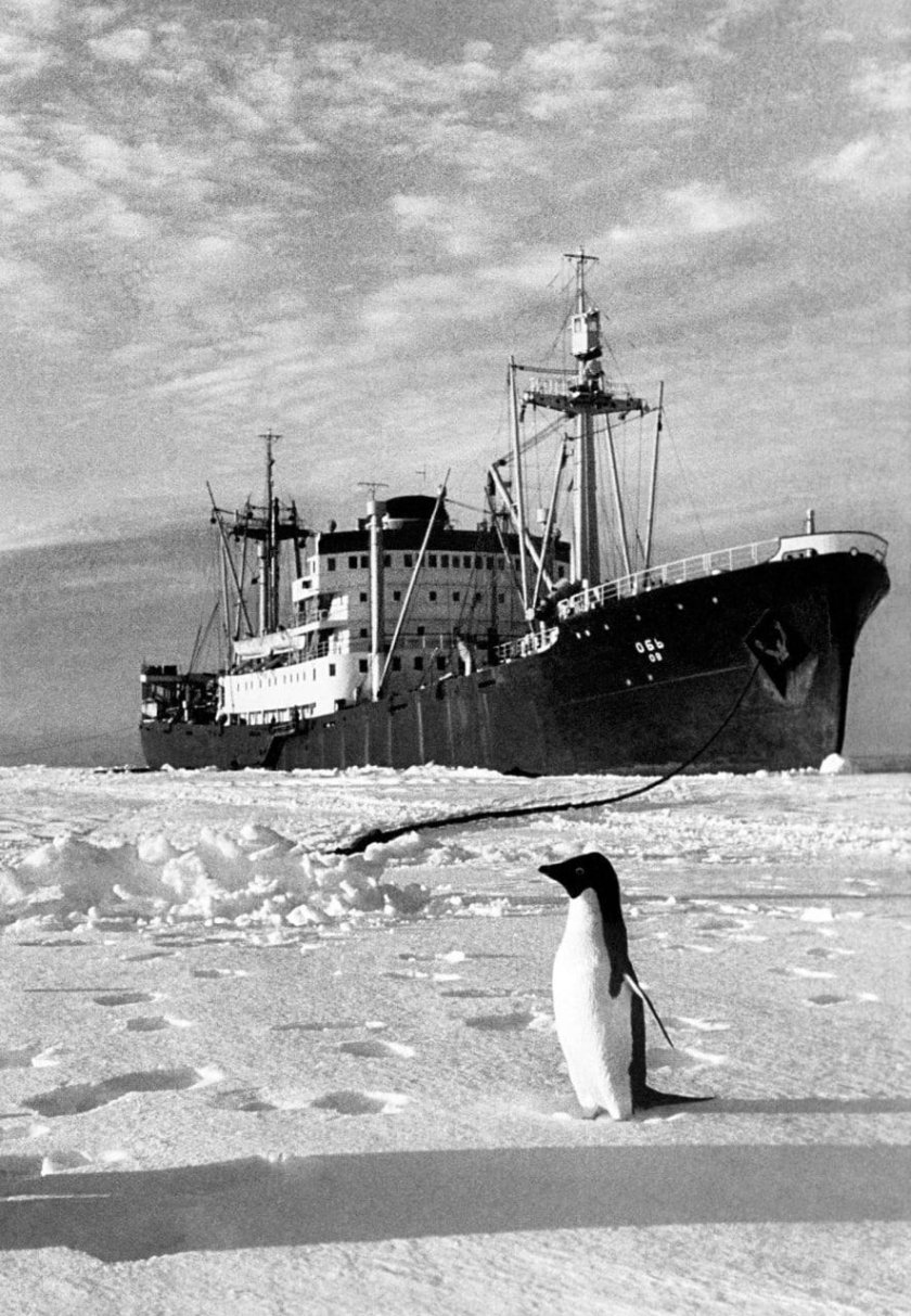 Первая антарктическая Экспедиция 1956