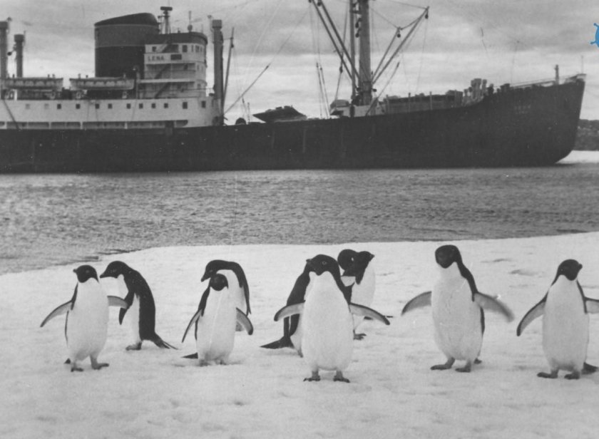 Первая антарктическая Экспедиция 1956