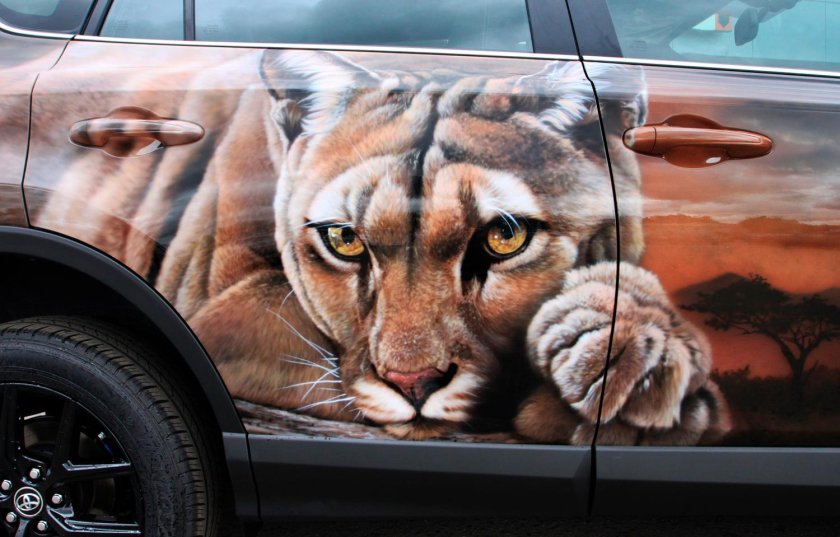 Аэрография Тойота