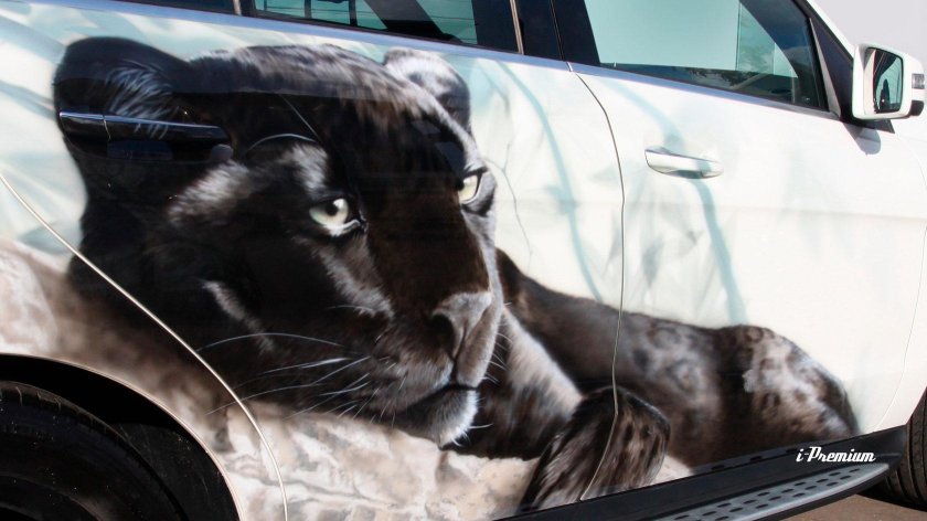 Аэрография Мерседес 164