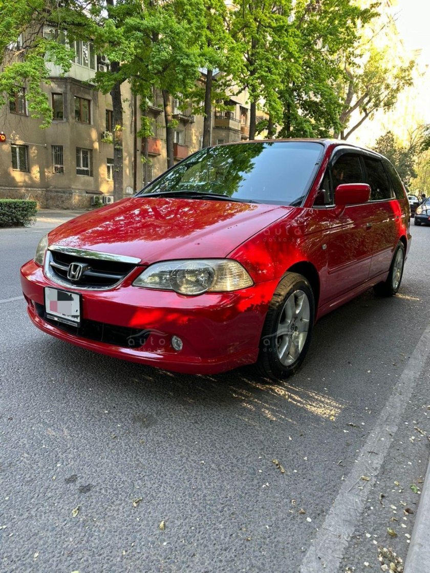 Honda Odyssey 2002 absolute