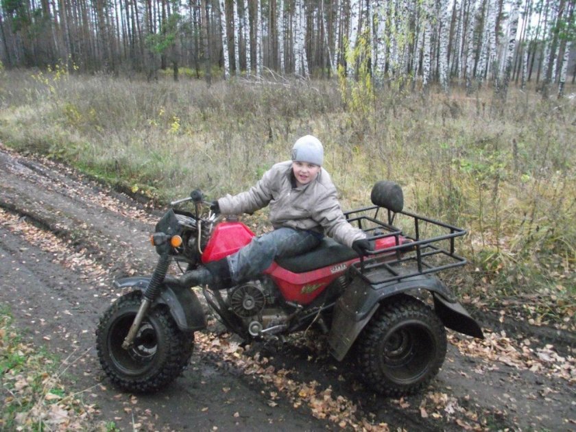 ЗИД фермер 200