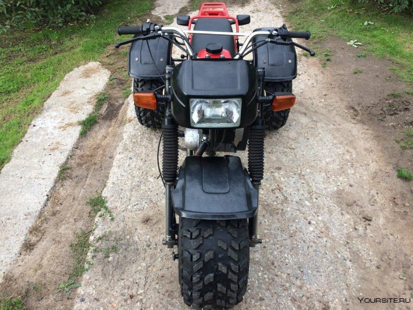 ЗИД 200 Тарпан