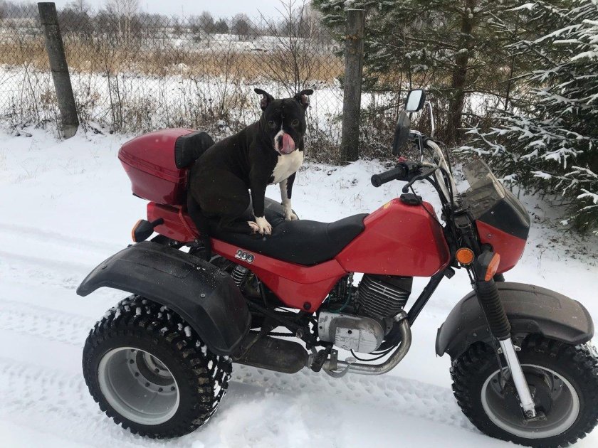 ЗИД фермер 200 трицикл