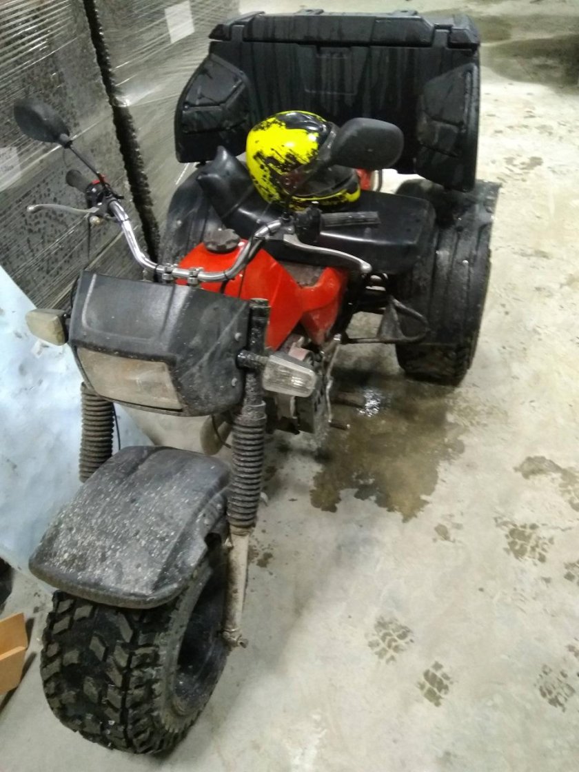 ЗИД 200 Тарпан