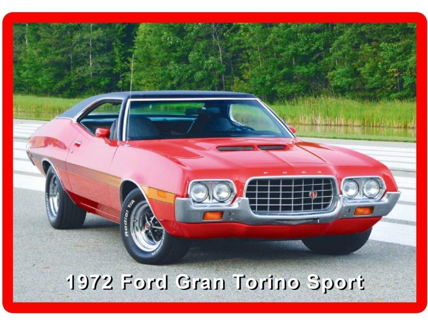 Ford Torino Cobra