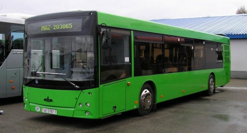 МАЗ 203065