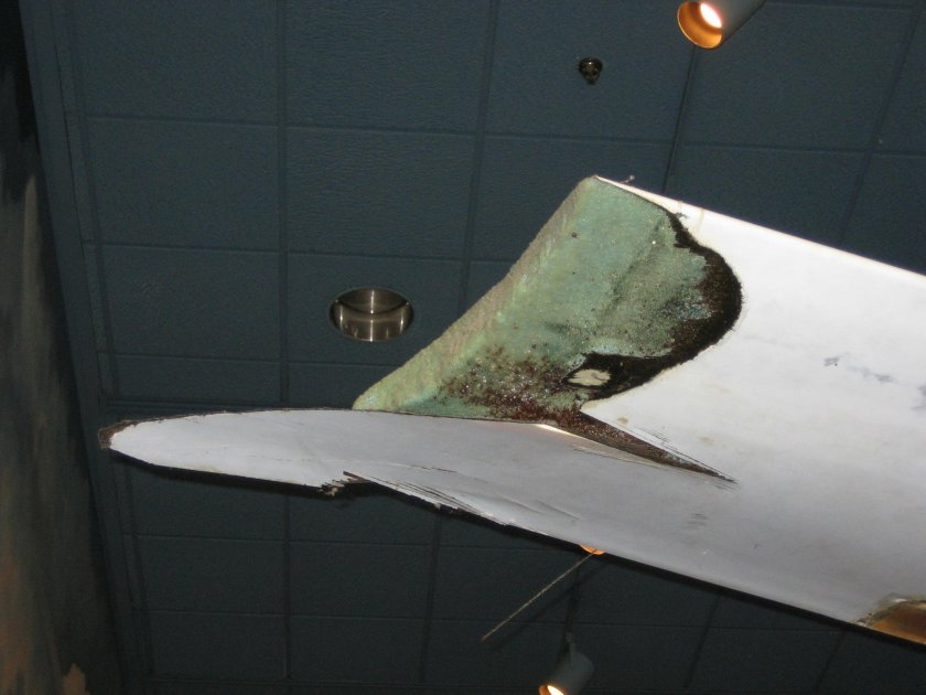 Rutan Вояджер