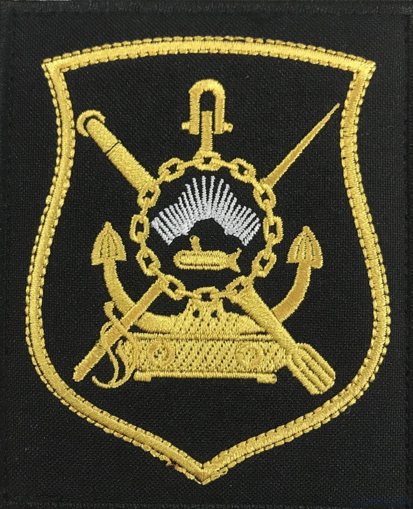 29 Дивизия подводных лодок Шеврон