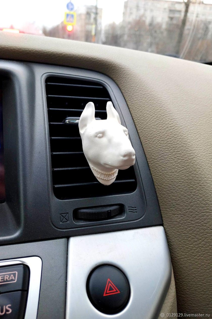 Вонючки в авто