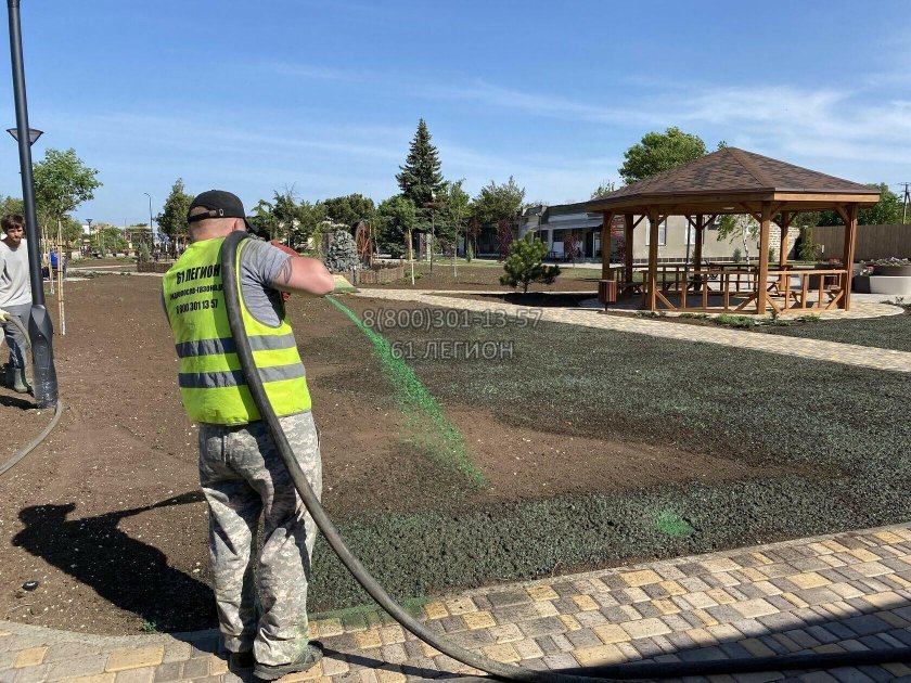 Гидропосев райграс