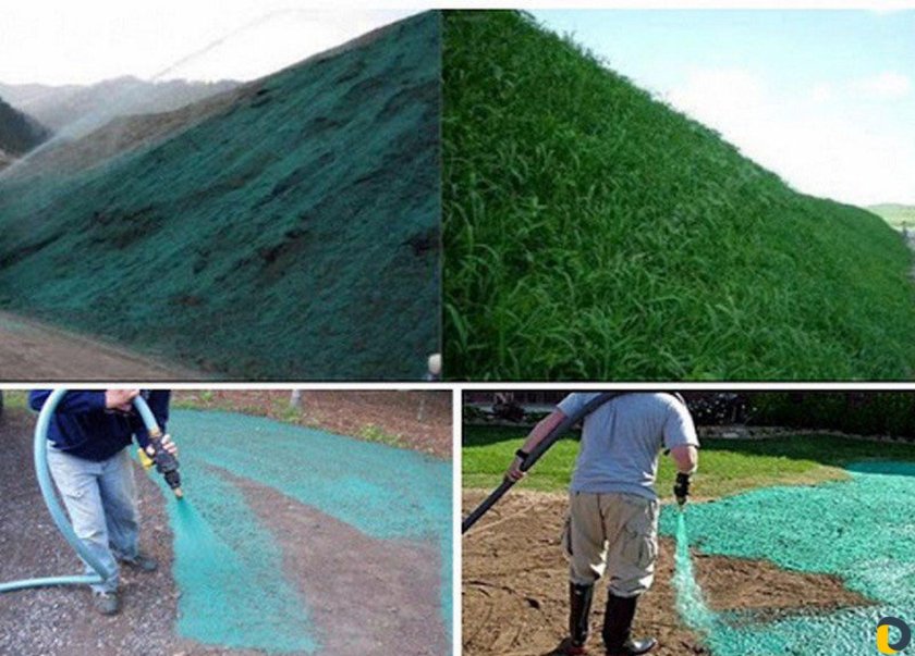 Гидропосев травы технология