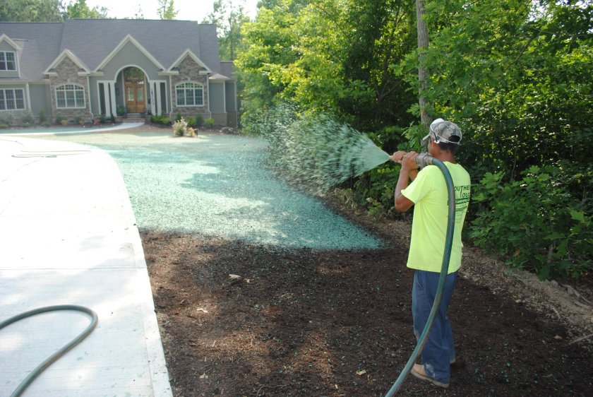 Гидропосев травы технология