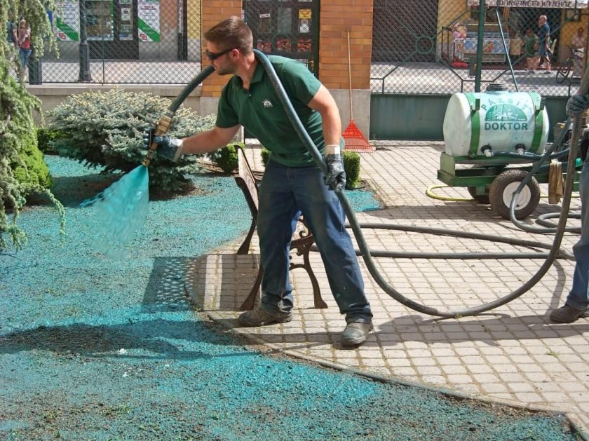 Гидропосев травы технология