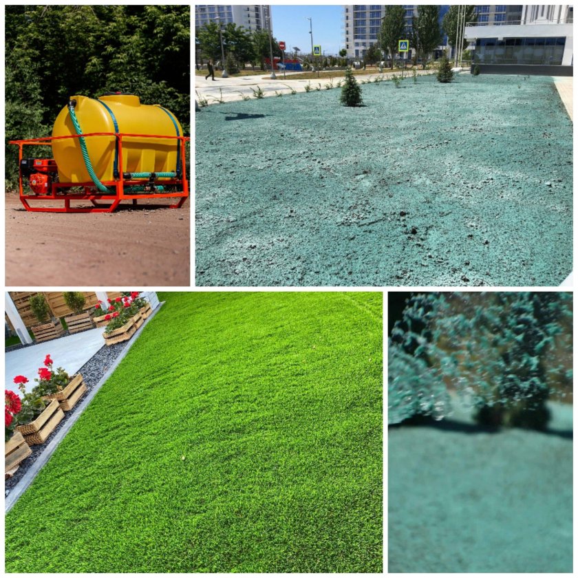 Гидропосев газона