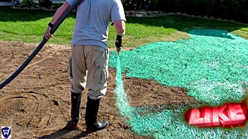 Гидропосев газона технология