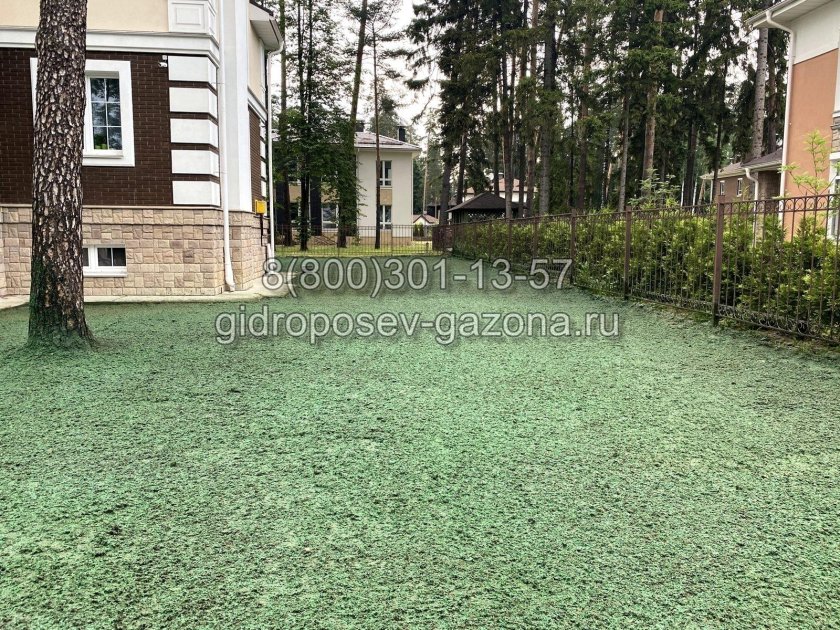 Калининград гидропосев