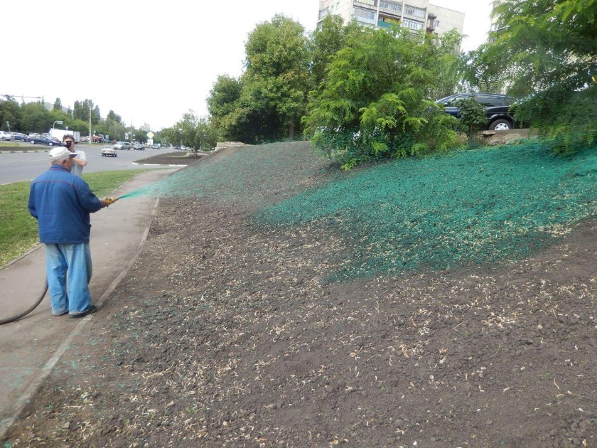 Красить траву