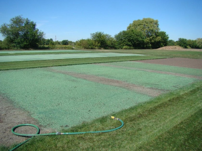 Гидропосев райграс