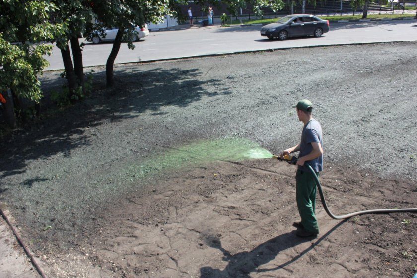 Гидропосев травы