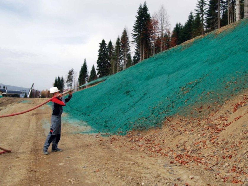 Гидропосев газона технология