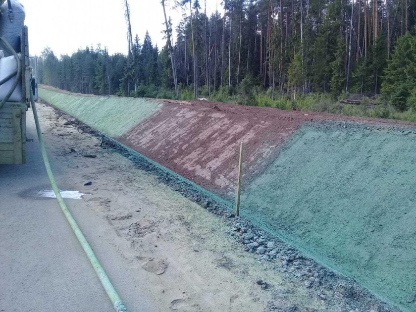 Гидропосев райграс