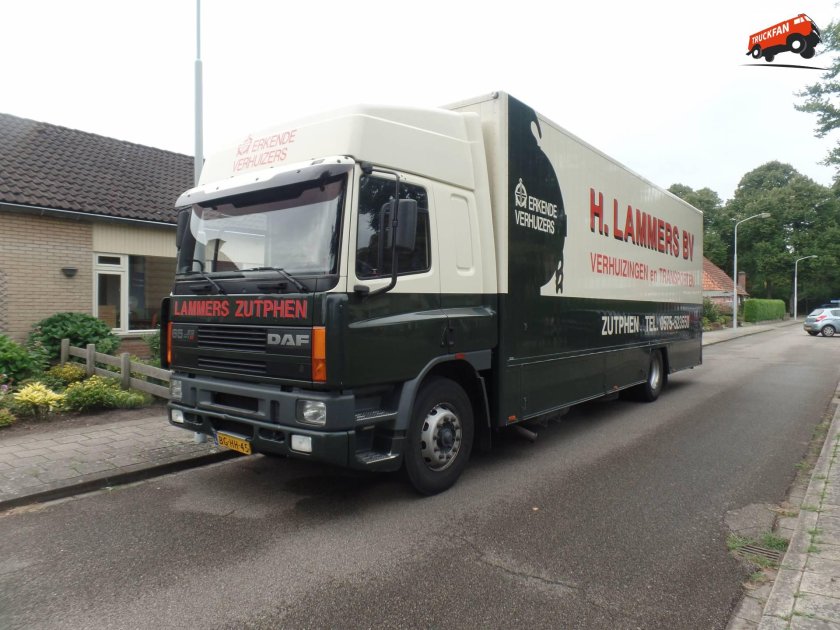 DAF 65