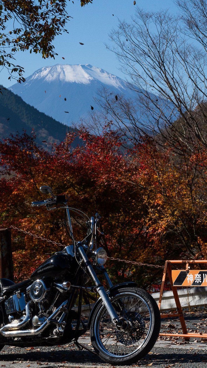 Мотоцикл на природе