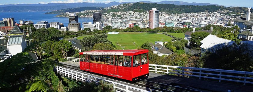 Веллингтон