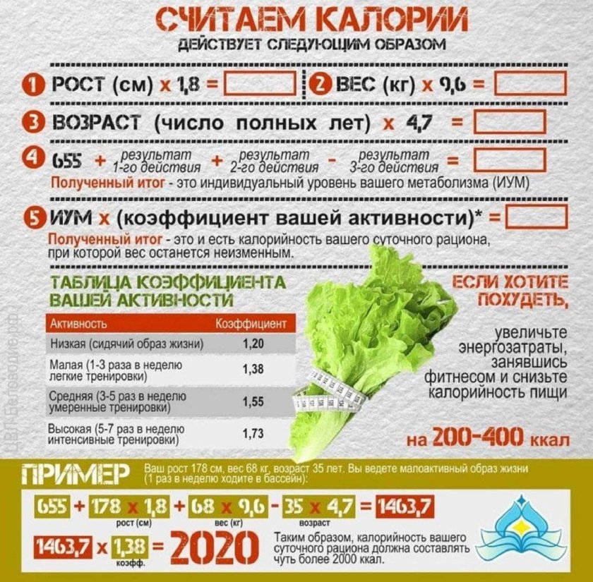 Как подсчитать калории