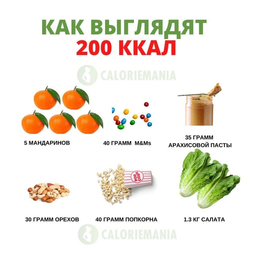 Как выглядит 200 грамм белка