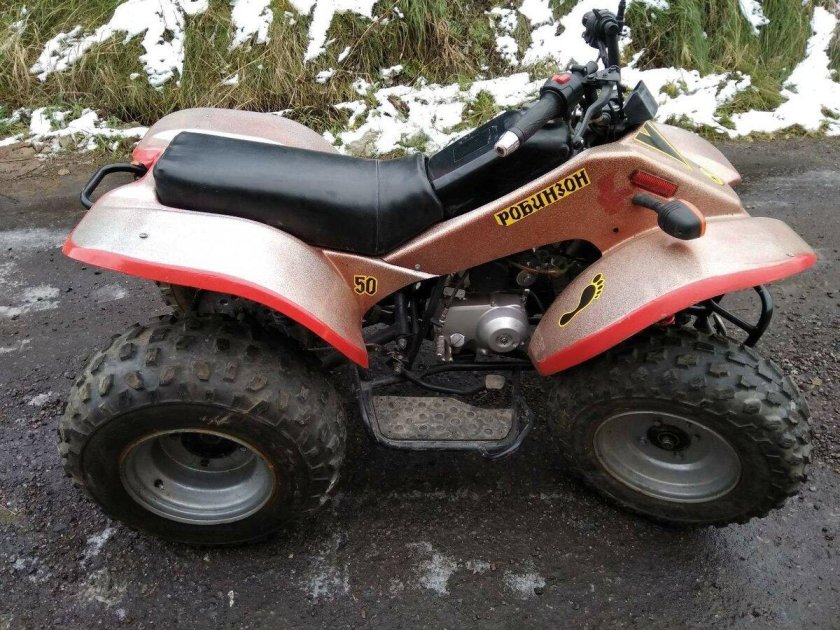 ЗИД Робинзон 50