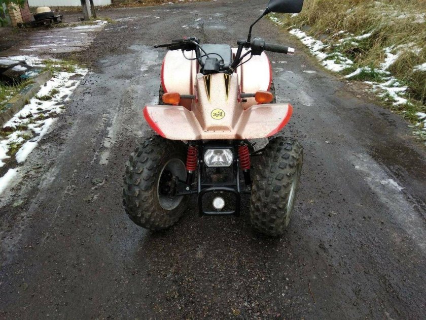 ЗИД Робинзон 50