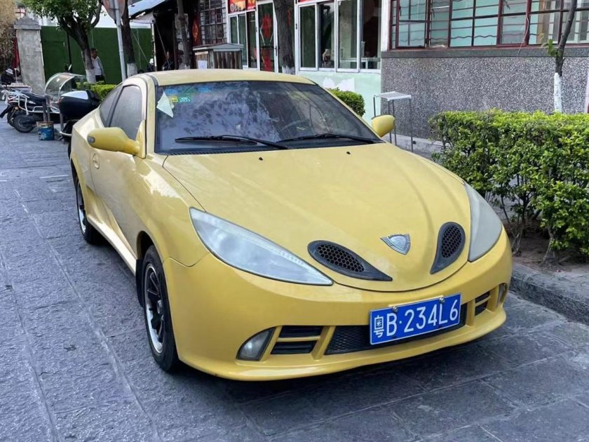 Geely Beauty Leopard