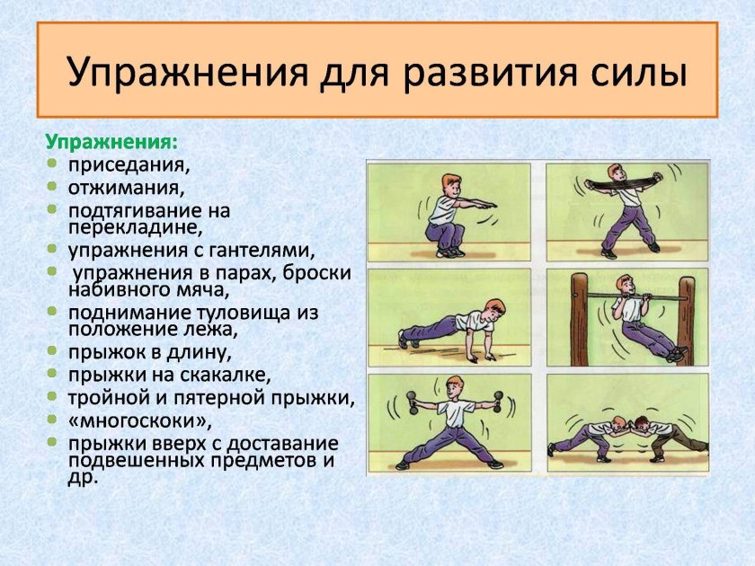 Упражнения для развития силы