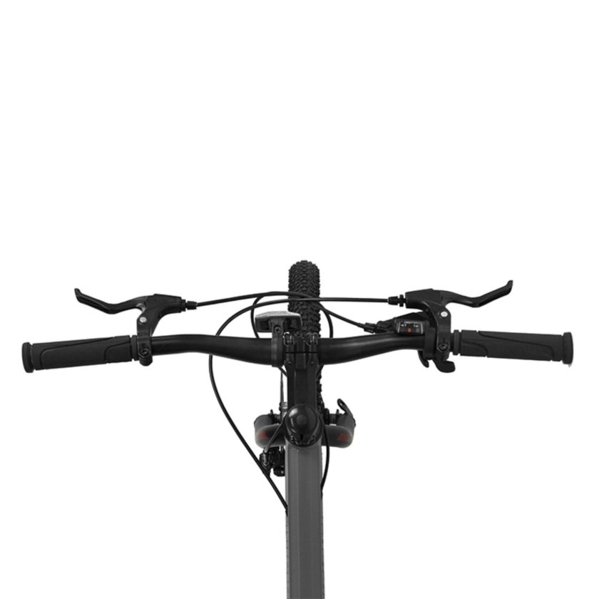 Maxiscoo Horizon 20"