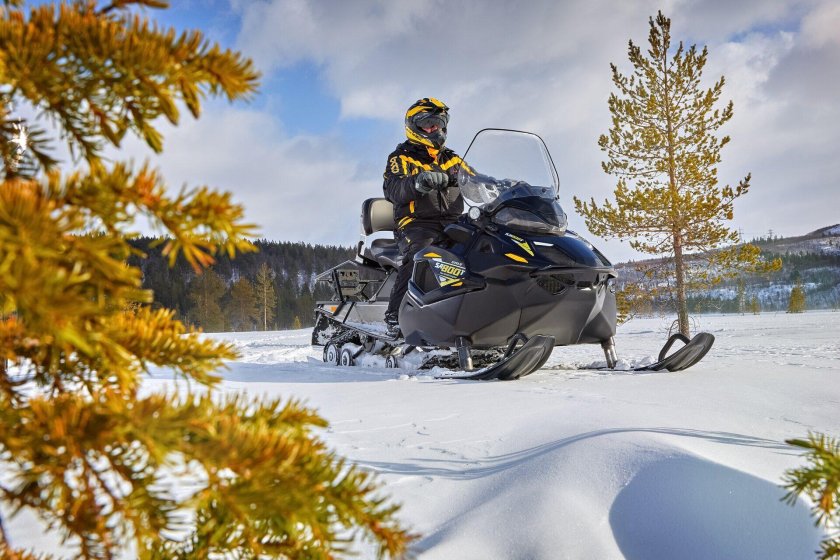 Снегоход stels Атаман sa800