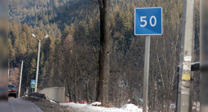 Дорожные знаки Рекомендуемая скорость