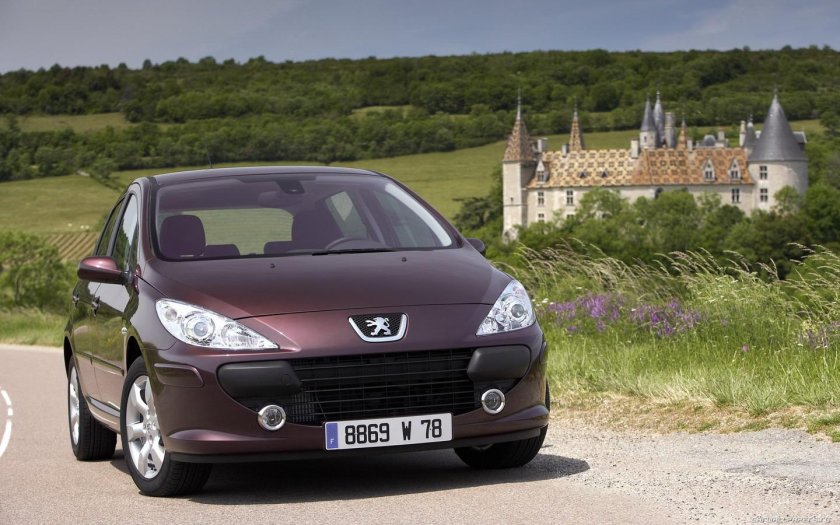 Пежо 307 2005
